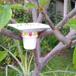 Hand painted Bird Feeder